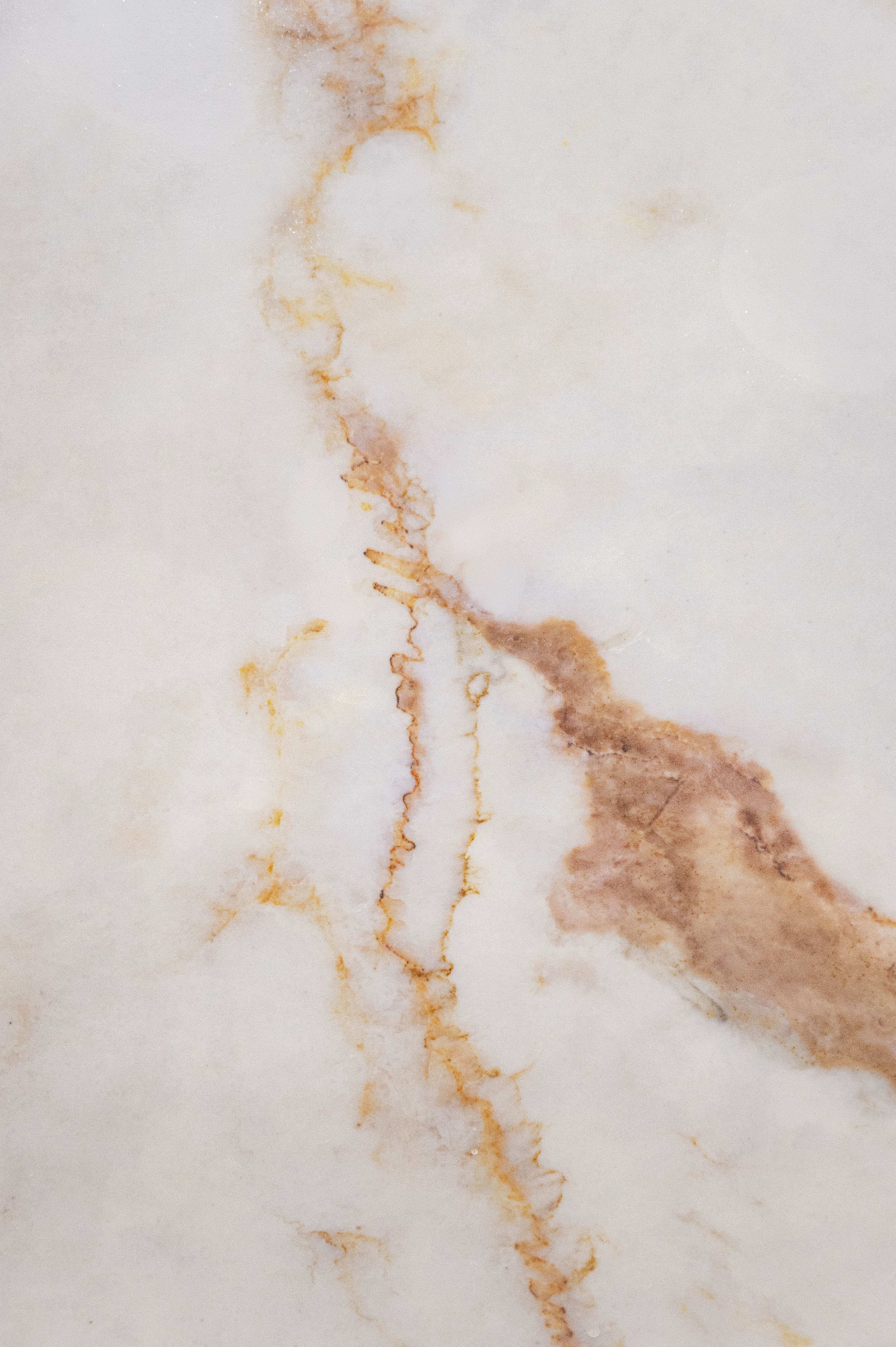 Calacatta Perla