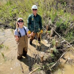 Mesic Restoration with The Nature Conservancy