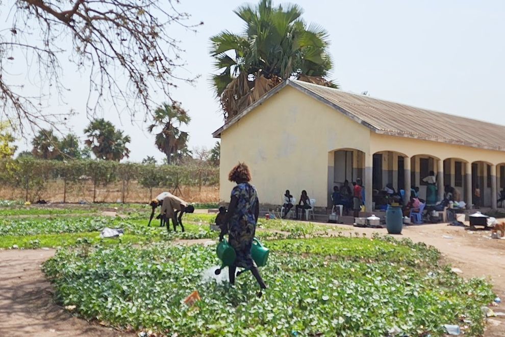 School Gardens upclose