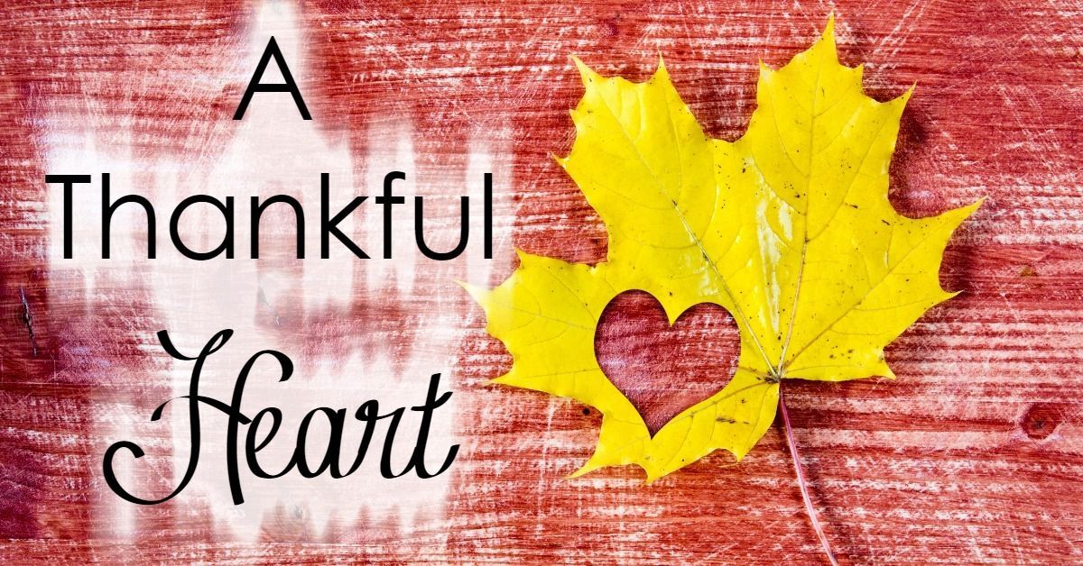 How to Give Thanks Today and Every Day
