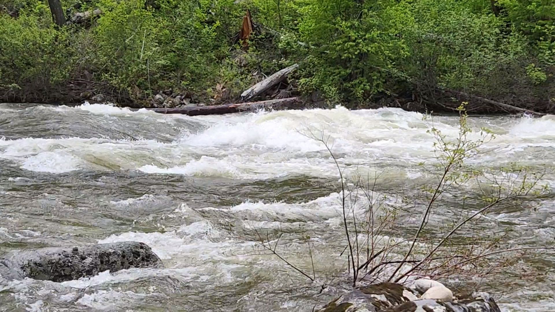 A close up shot of rapids in a river. The water is flowing quickly over rocks creating waves and choppy water.