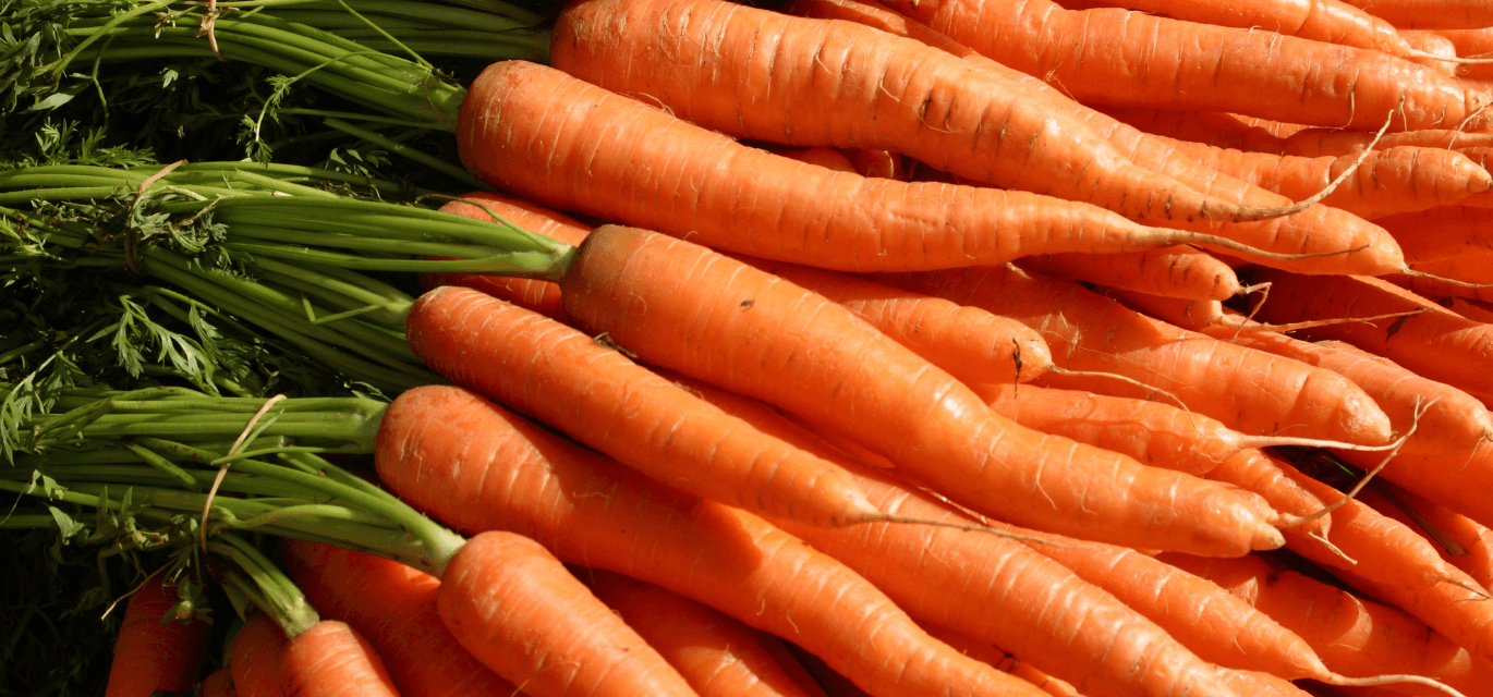 Carrots