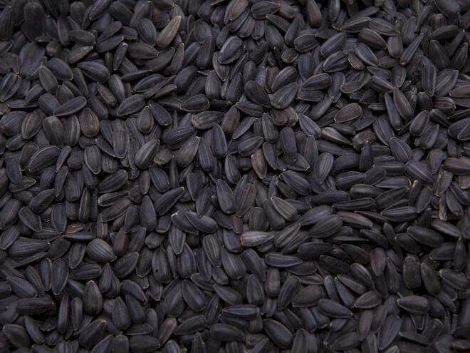 Sunflower Seed, Black Oil, 25lbs