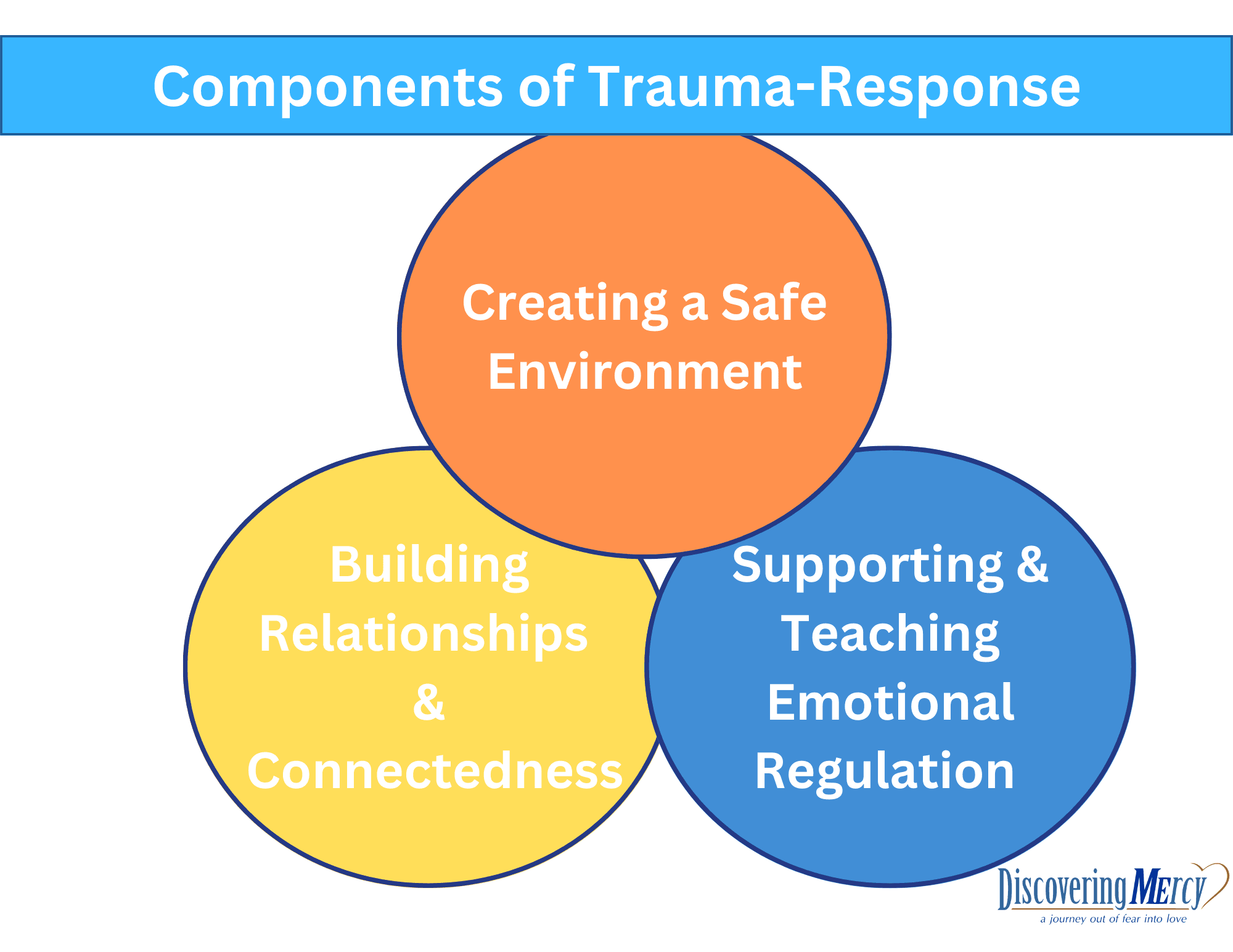Discovering MErcy-Components of Trauma-Informed Care Graphic