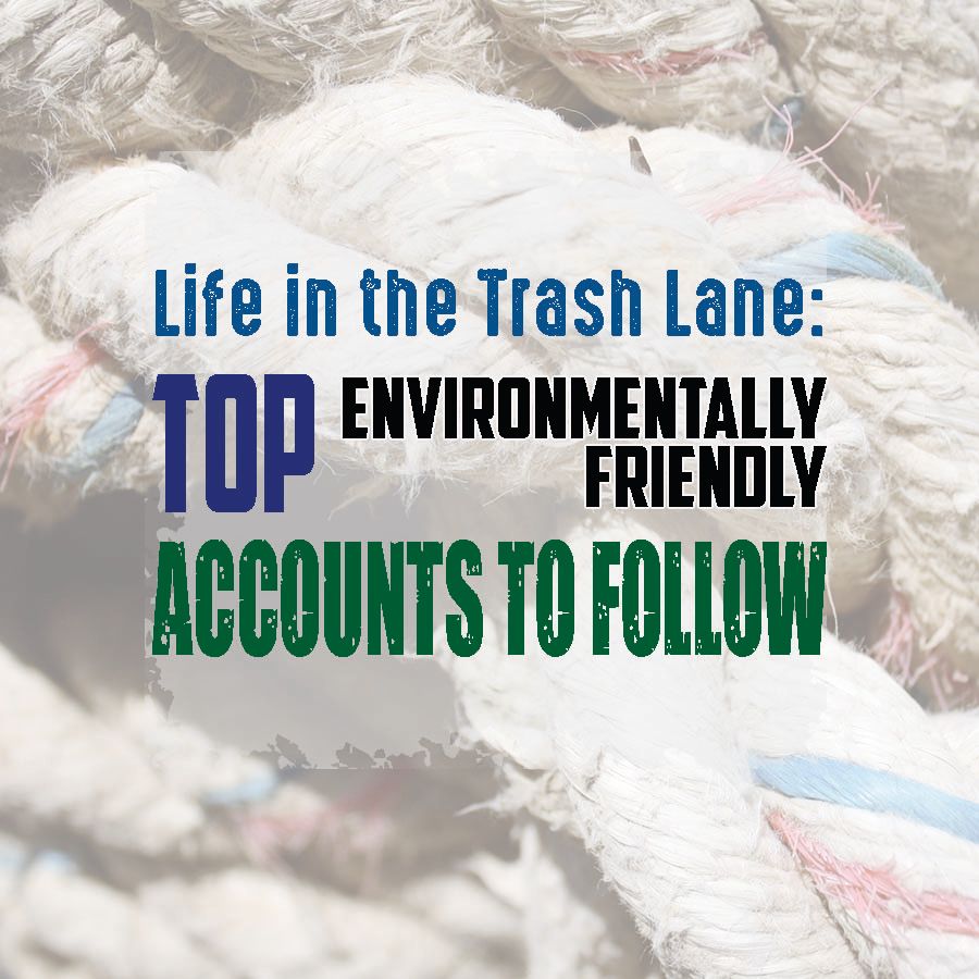 Top Environmentally Friendly Accounts to Follow