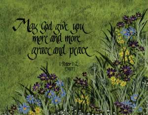 MORE & MORE (1 Peter, Encouragement, Faithwalk)