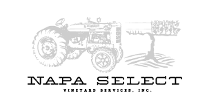 St. Helena Team Sponsor