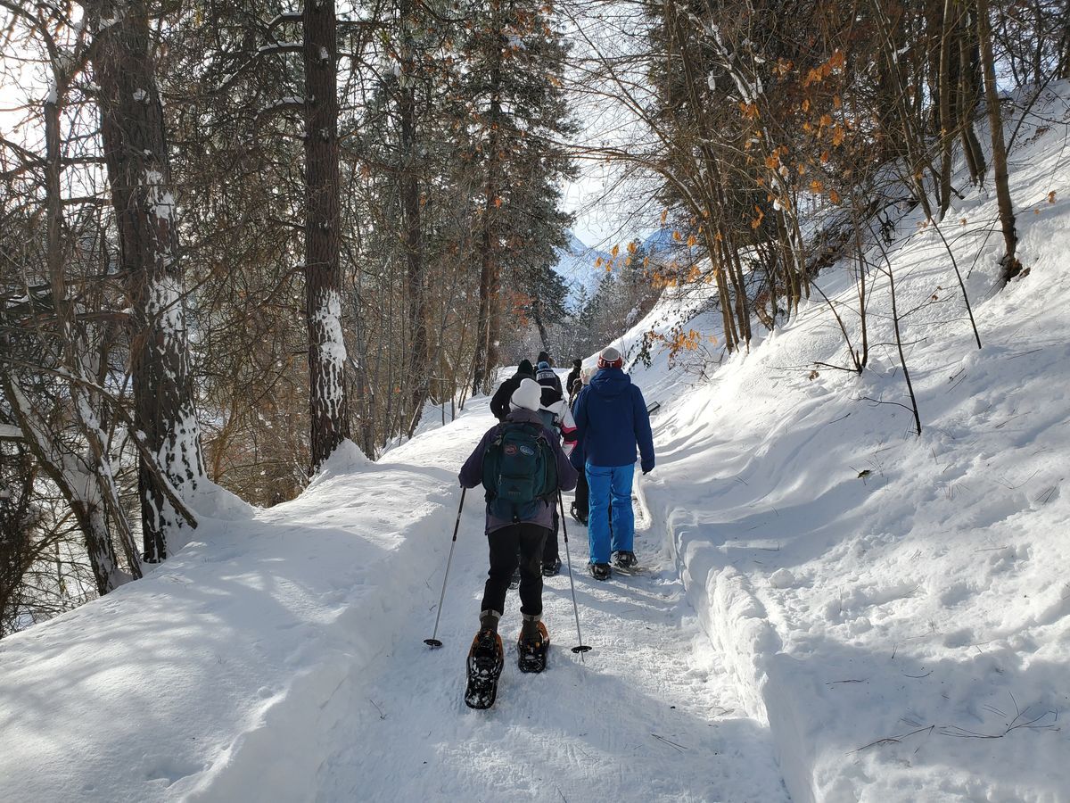 Group of snowshoers walking on a snow-covered path at WRI in the woods.