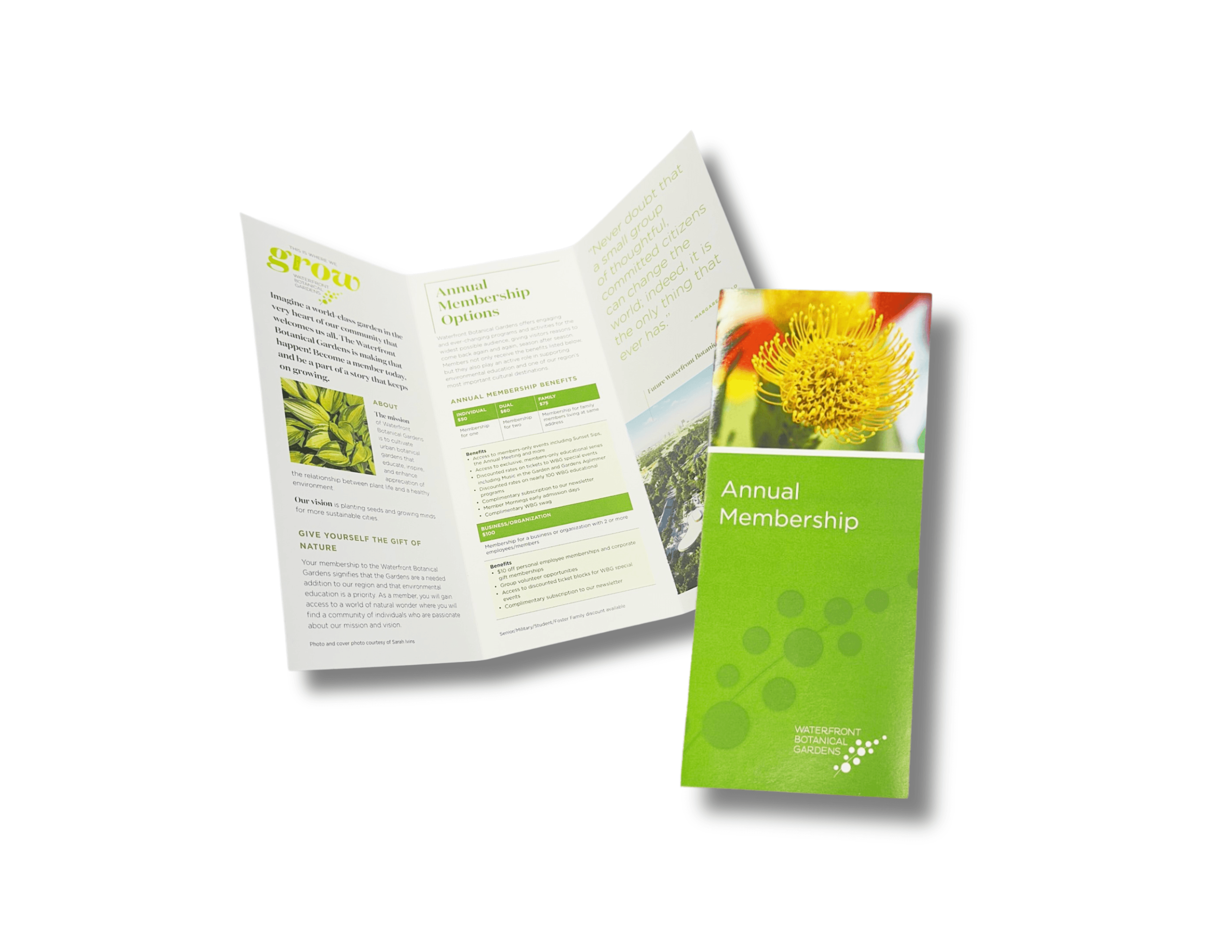 Brochures