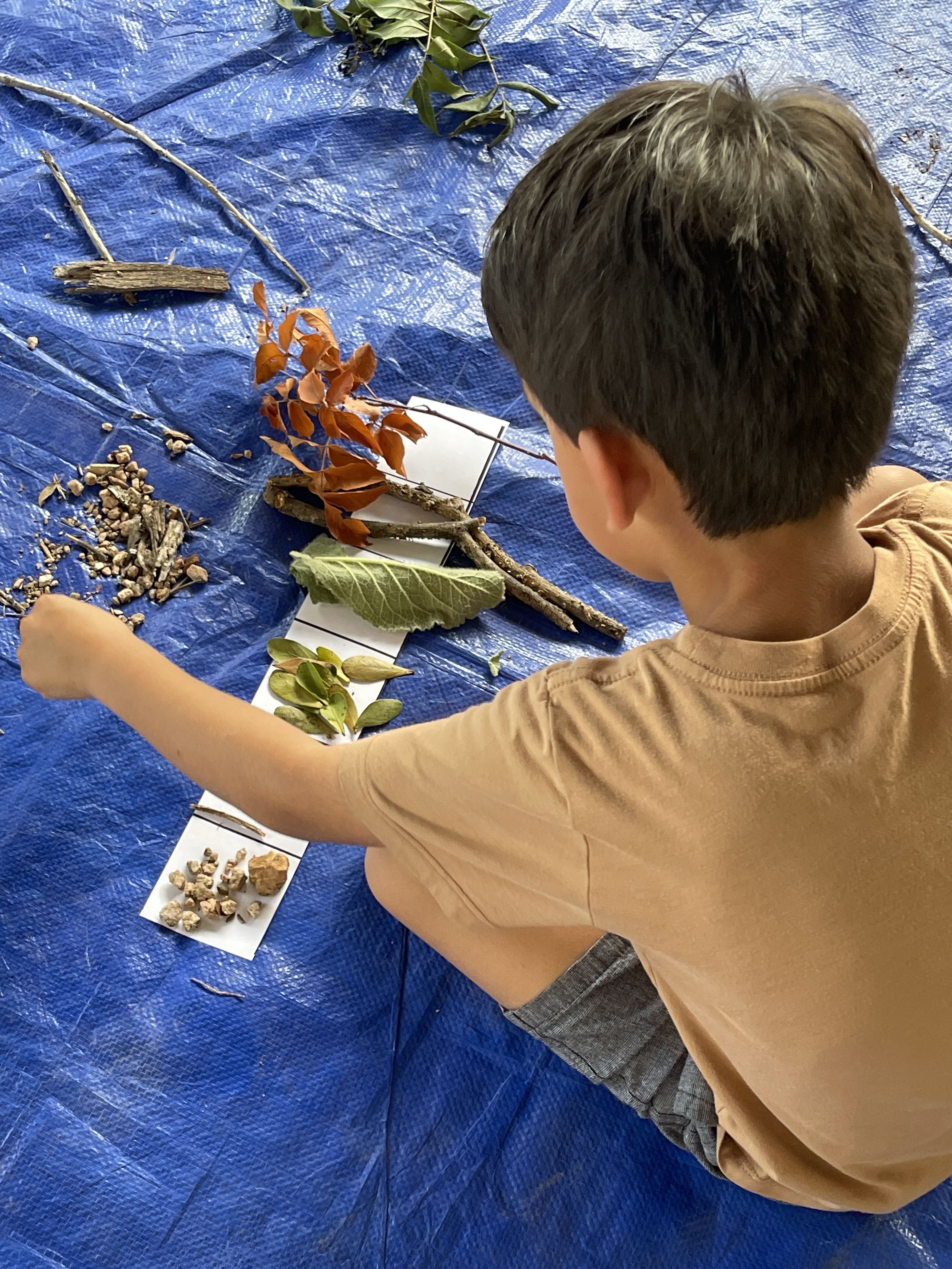 activities for preschoolers, nature education, science education, preschool programs