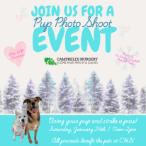 Join us at Campbell's Nursery, 2342 S 40th St. from 11-2 on January 24th to strike a pose! Free-will donation benefiting CHS.
