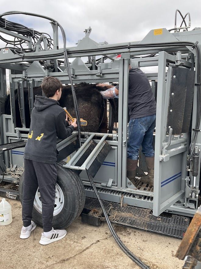 Hampton FFA Provides Hands-On Opportunities in Animal Production