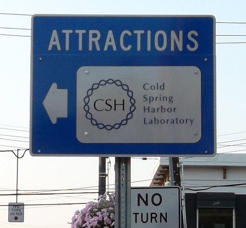 CSH Attractions