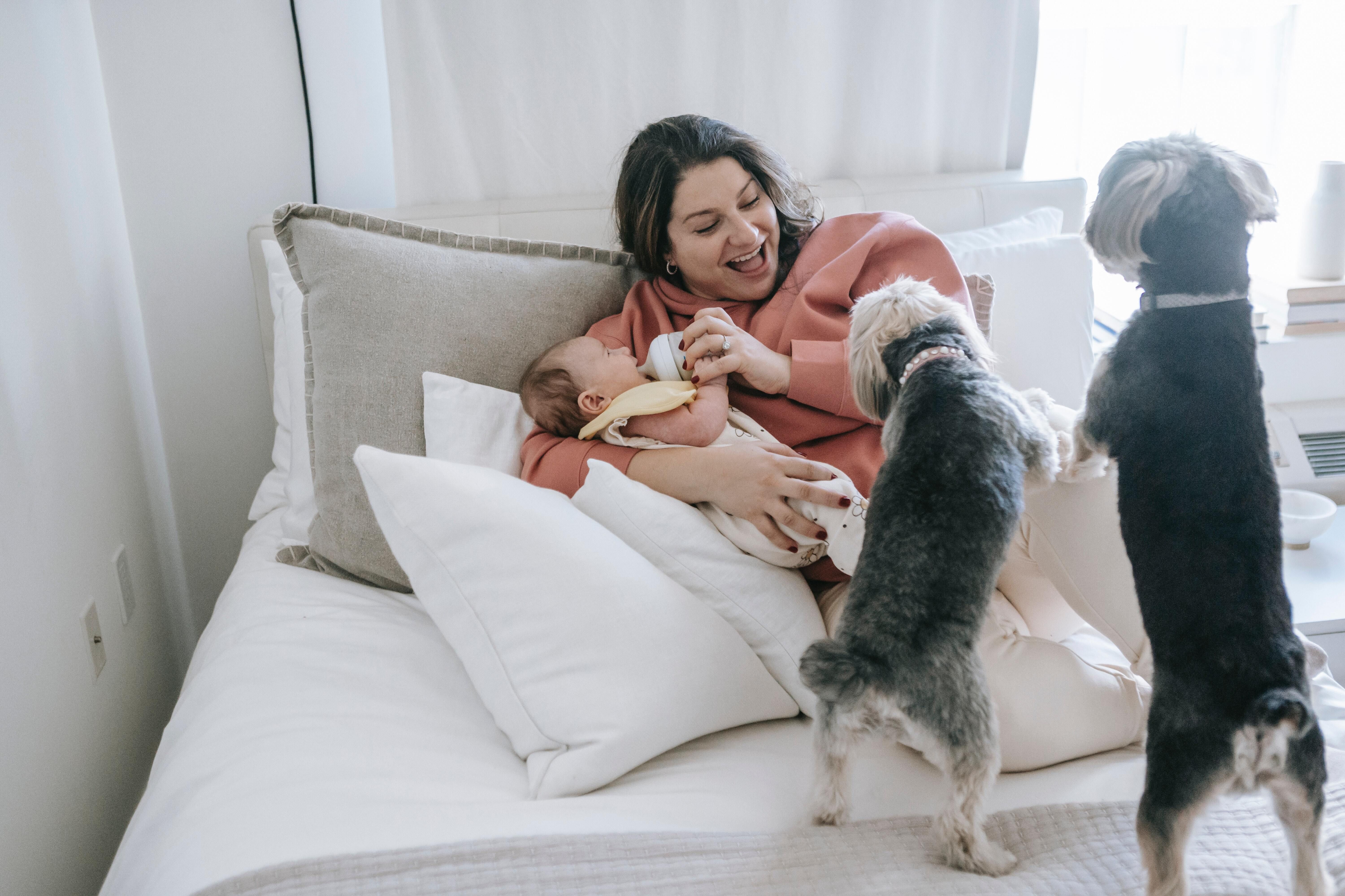 Preparing Your Family Dog For A Baby