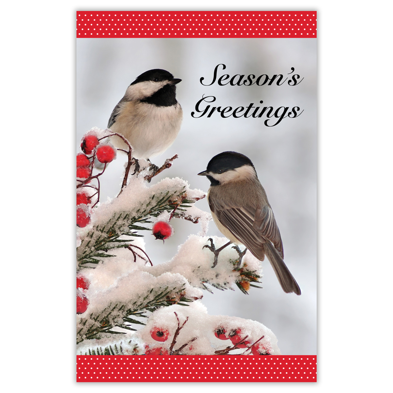 5.5 x 8.5 "Season's Greetings" Birds