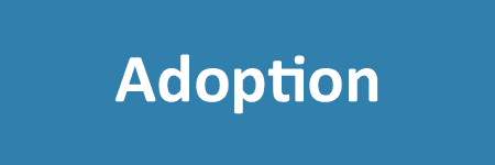 Adoption
