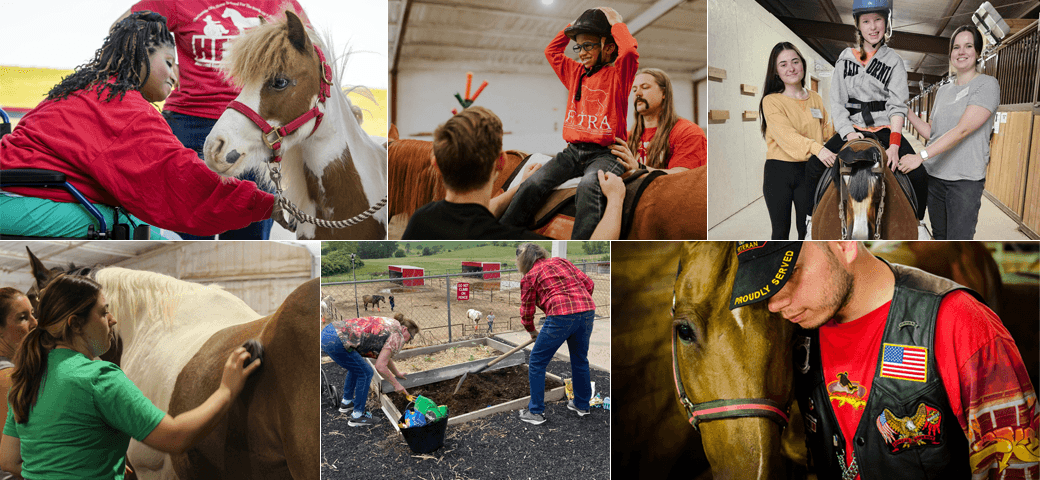 Who Thrives at HETRA