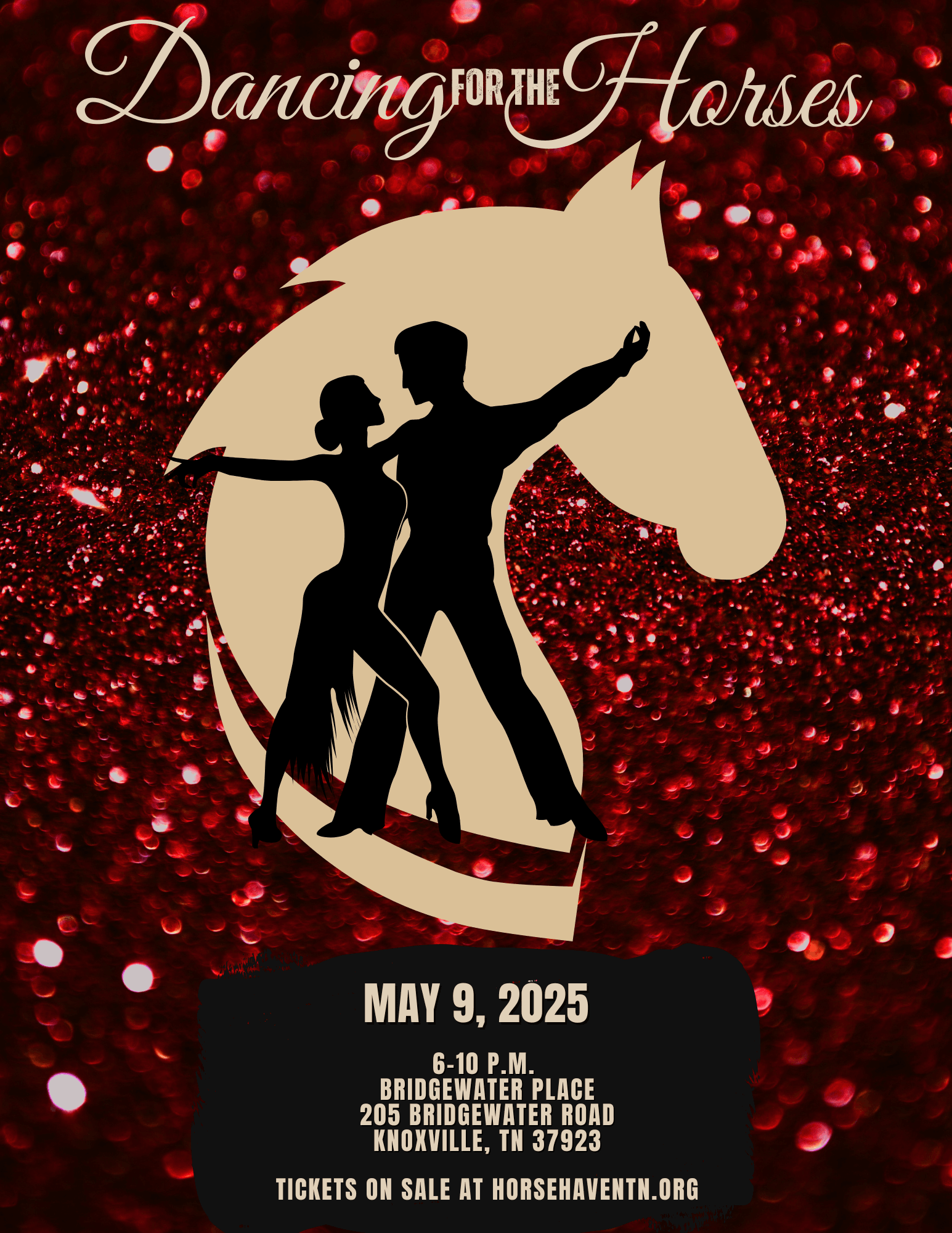 Join us for "Dancing for the Horses 2025”