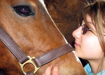 A picture of Bella and her horse