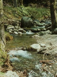 Daily Prayer November 6