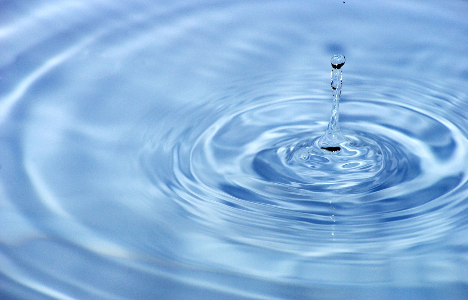 overview : Water|Ways : Raven Hill Discovery Center