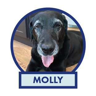 Molly