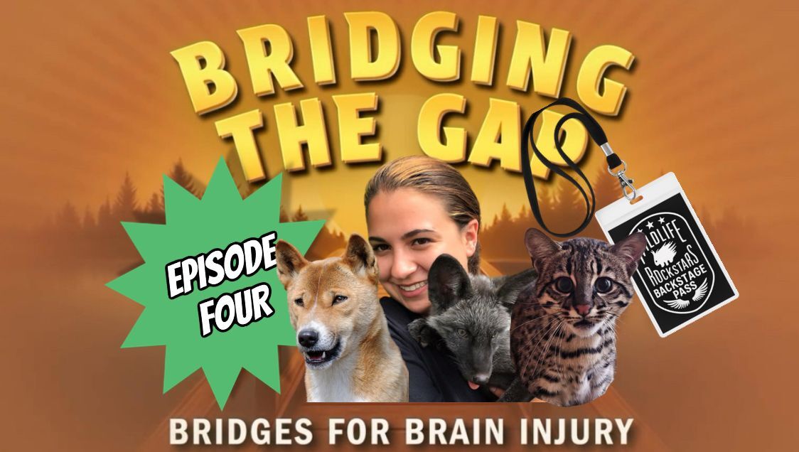 Wildlife Rockstars: Backstage Pass (Episode 4 of Bridging the Gap)