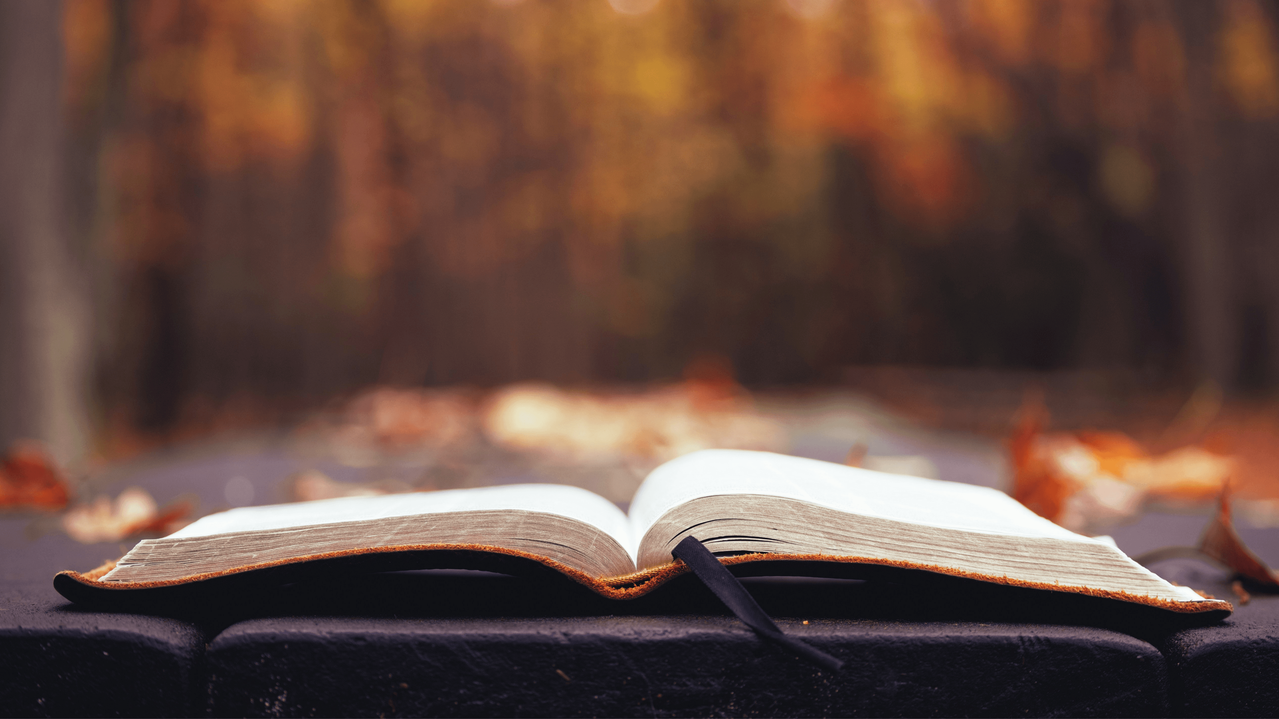 Read Stewards of Eden with EEN's book club this fall.