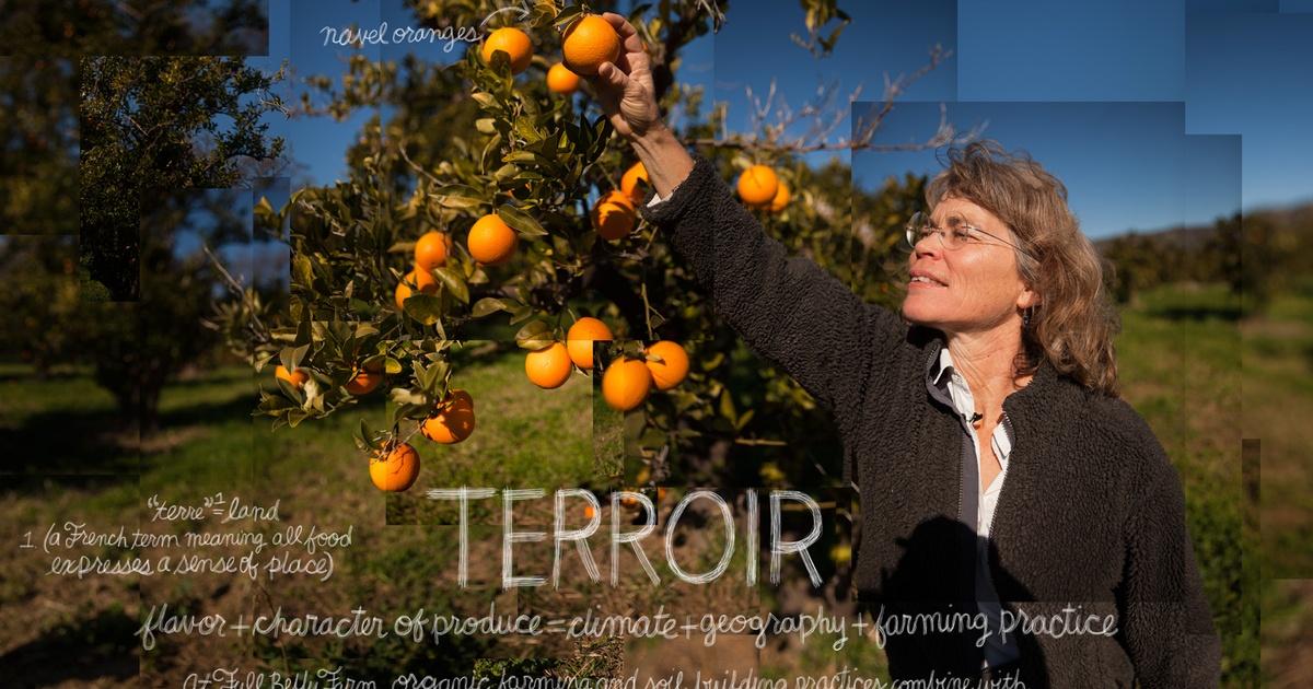 Movies at the Museum: Terroir: The Flavor of Place with Sheri Castle presented by BRWIA