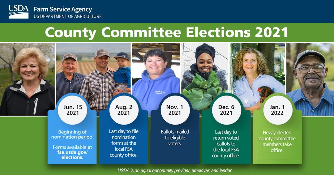 FSA Committee Timeline