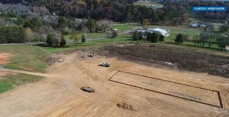 Horse Haven of Tennessee's Forever Home - WBIR