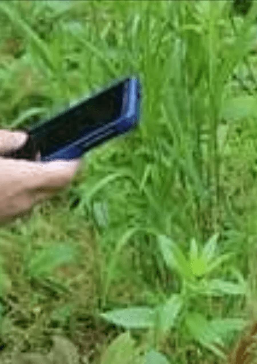 How to Use iNaturalist