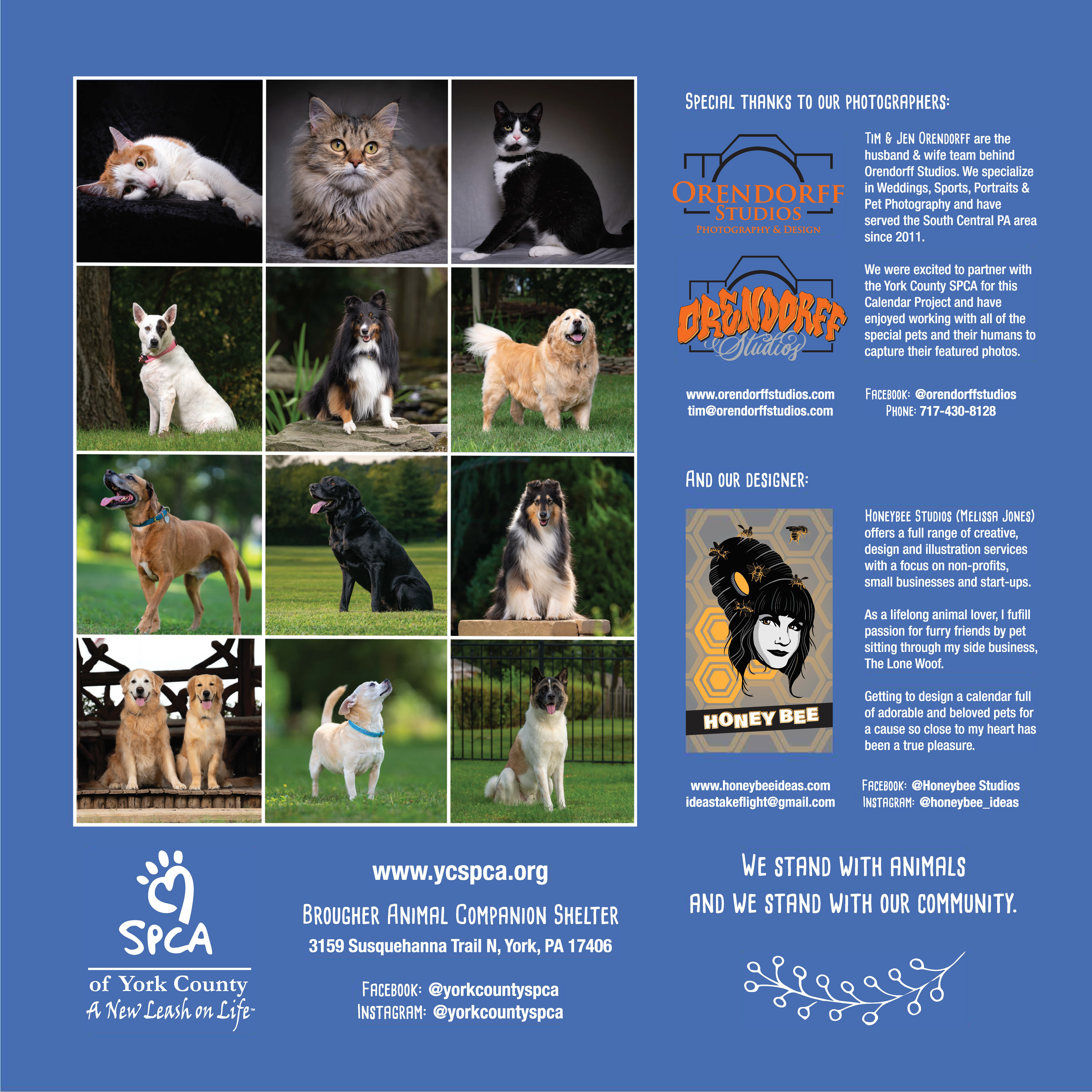 York County Spca Get Involved 21 Calendar