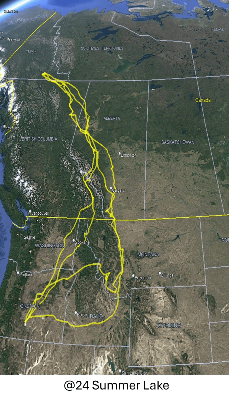 Trumpeter Swan @24 spends the summer in the Yukon, and the winter in Oregon