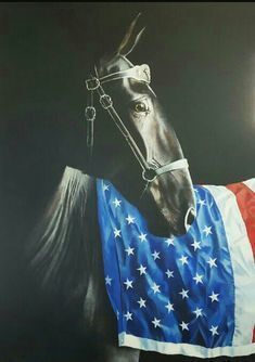 2023 Horses for Healing Dinner