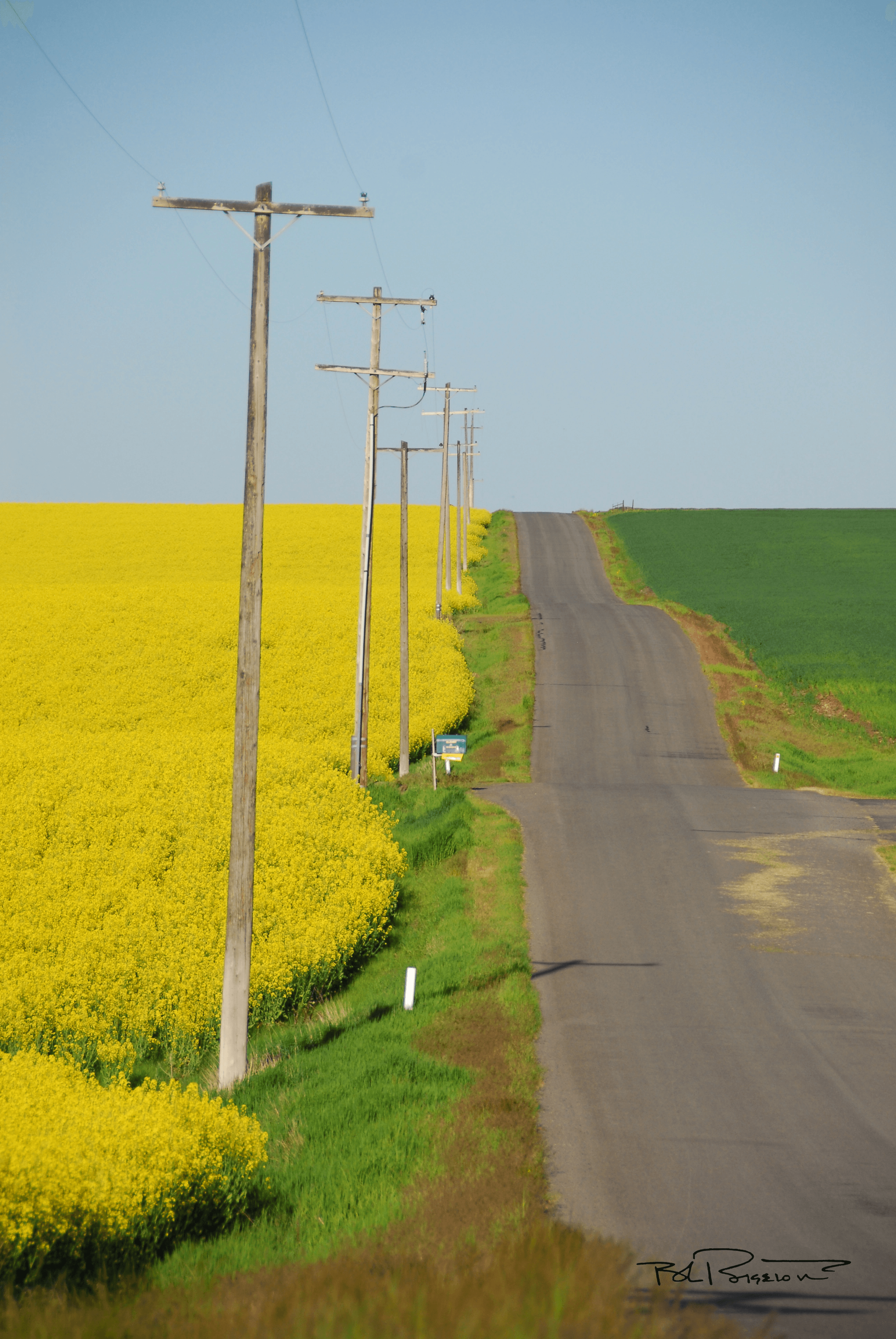 Idaho Road to the Sky