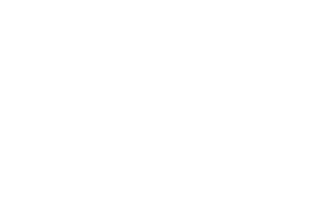 Kathy Palter (Standing Ovation)