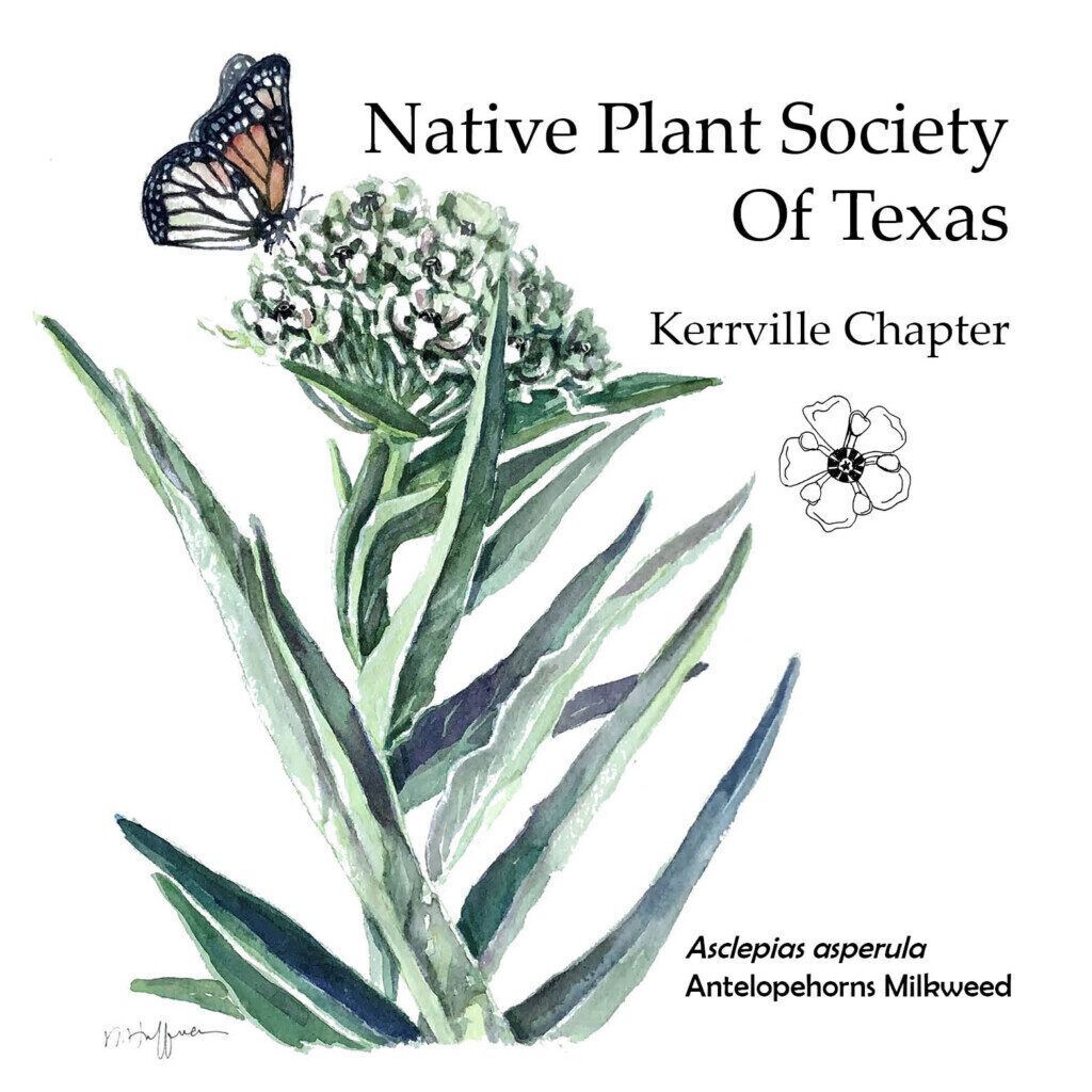 Native Plant Society of Texas