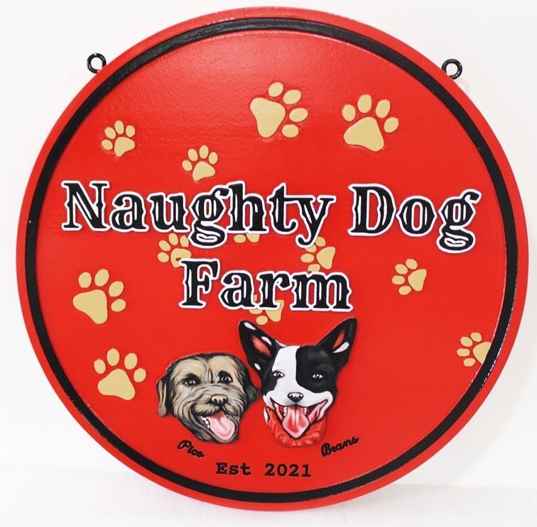 O24514 - Carved 2.5-D HDU Entrance Sign for the "Naughty Dog Farm", with  the Faces of  two Pet Dogs, "Pico" and "Beans" and their Pawprints as Artwork