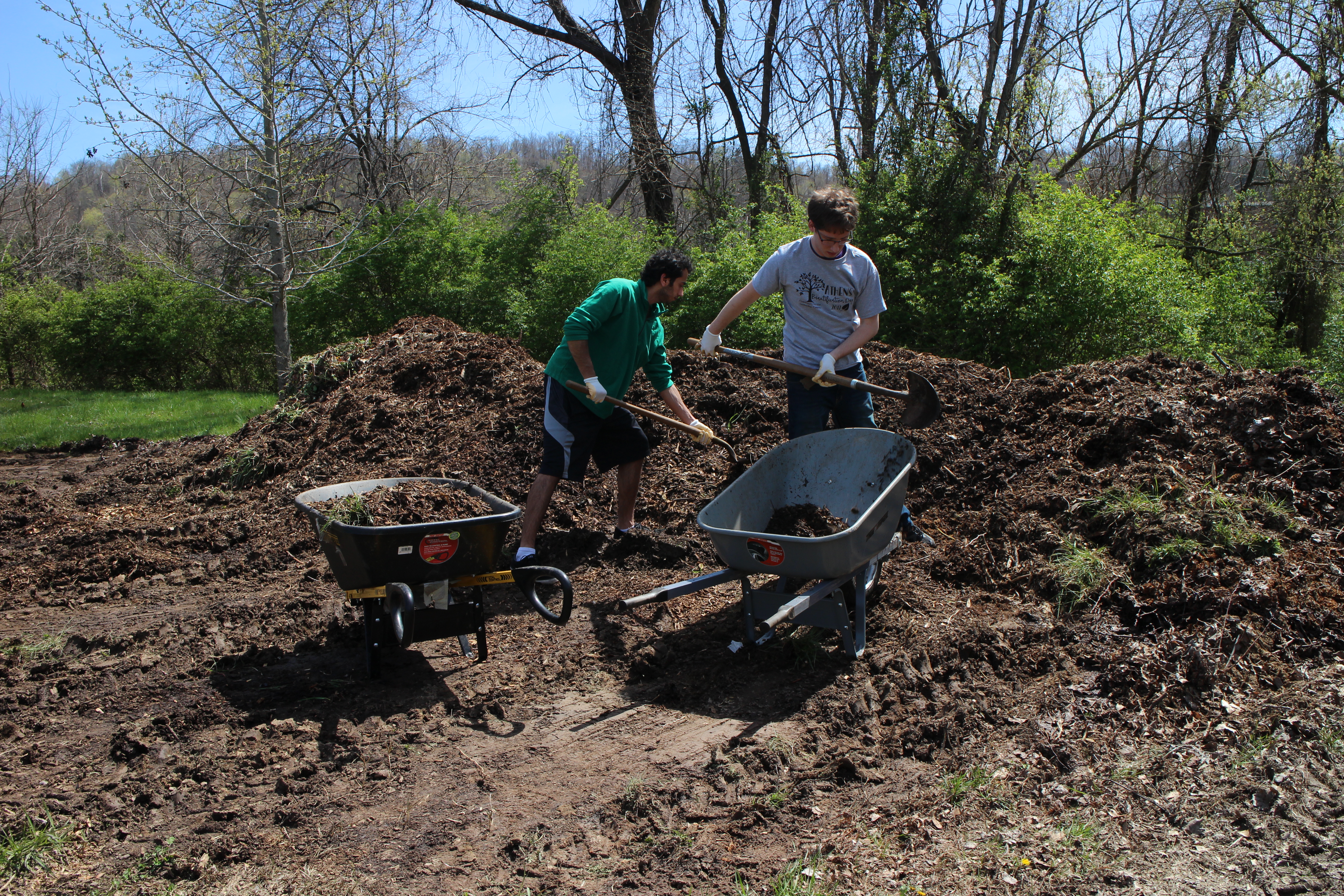 Mulching image