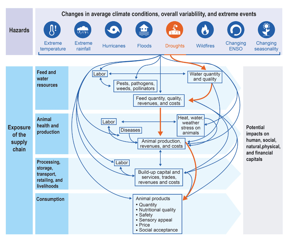 Diagram showing how different weather events and climate impacts affect the food supply chain
