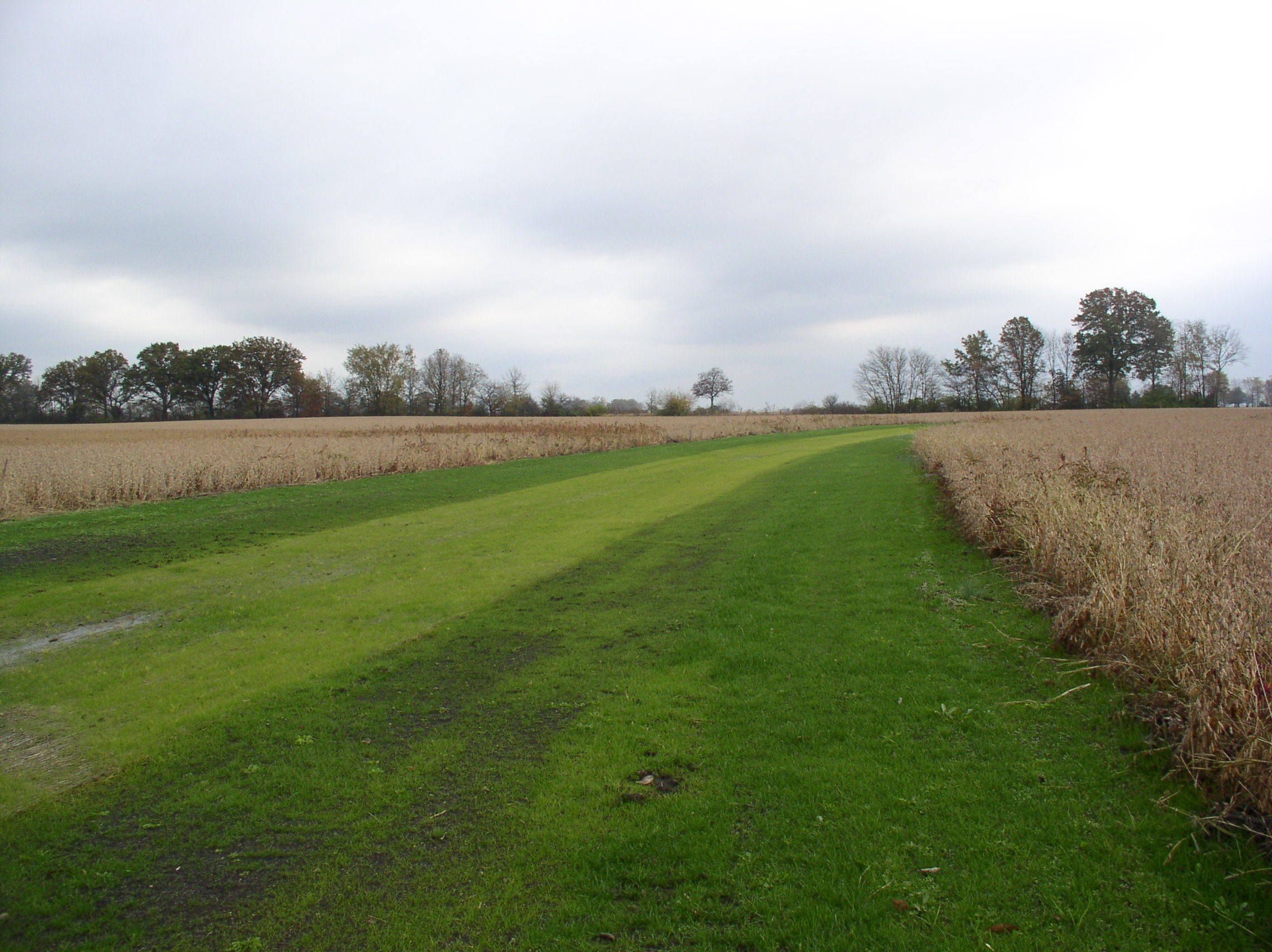 grassed waterway