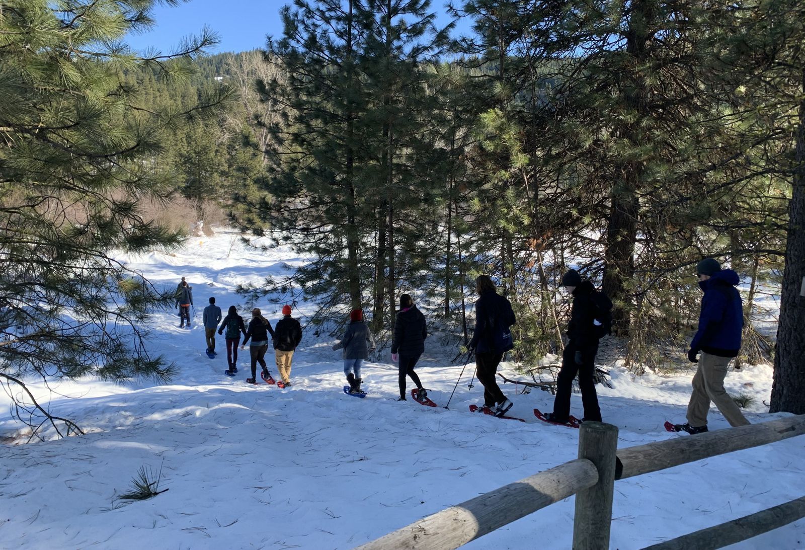 Seasonal Nature Walks Wenatchee River Institute