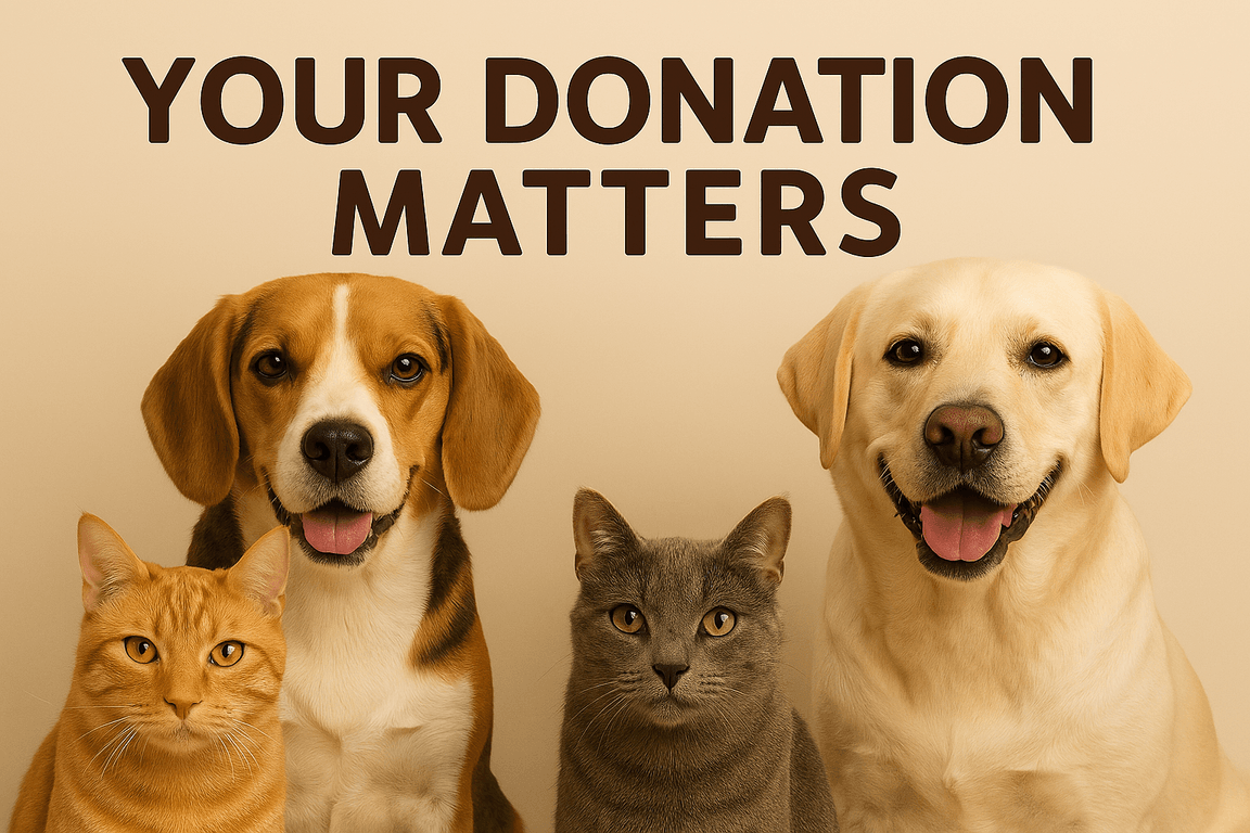 Donate