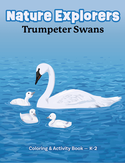 K-2 Swan and Wetland Color and Activity Book