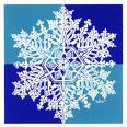 Personalized Holiday and Greeting Cards