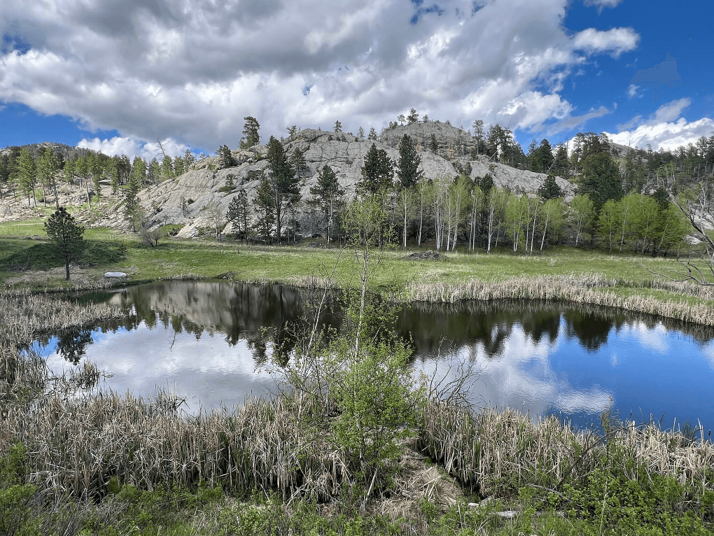 Picturesque trailside