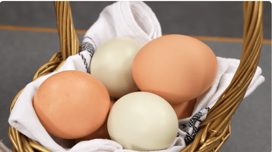Instapot eggs - May 2024