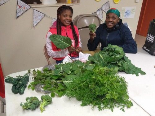 Teen Empowerment and Holiday Groceries from the Pincus Family Foundation