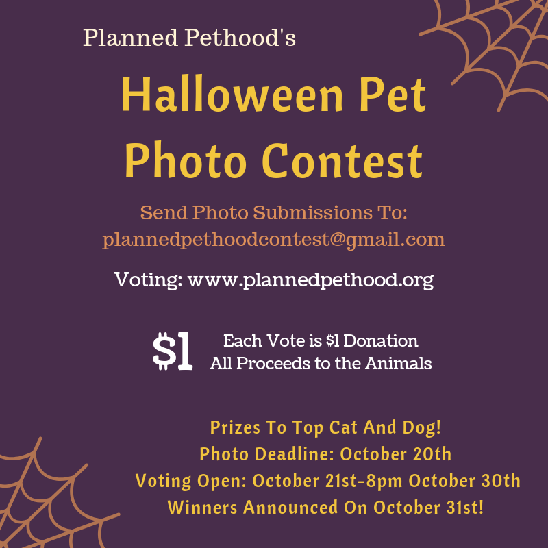 Halloween Photo Contest Halloween Pet Photo Contest WAYS YOU CAN